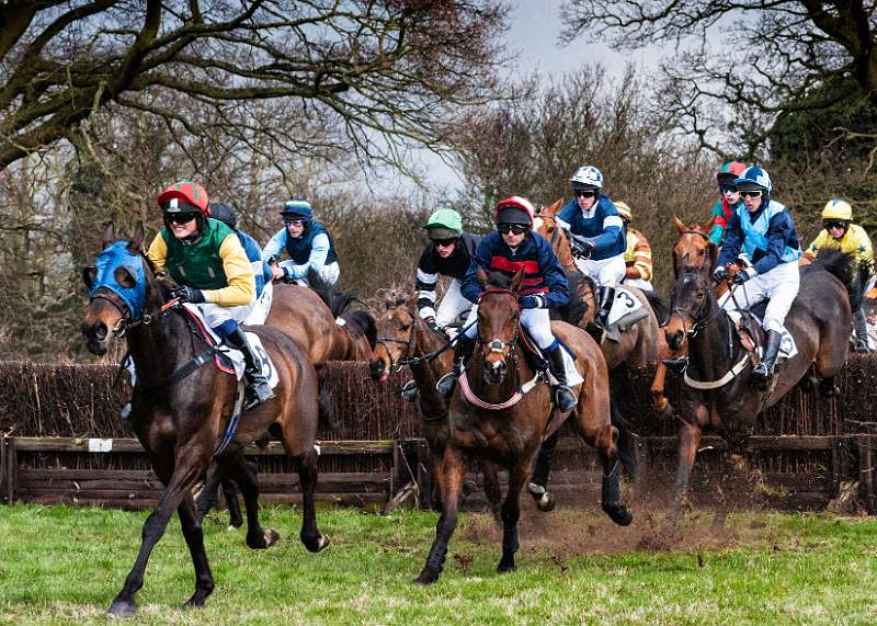 First fence at Higham.jpg